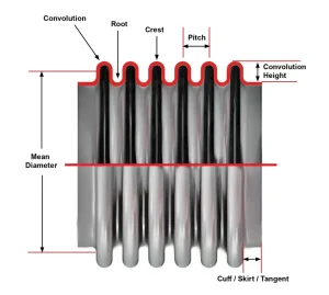 bellow expansion joint structure